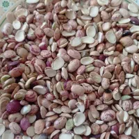 فروشی فوری لپه ی لوبیا برای تمامی مصرف کننده گان