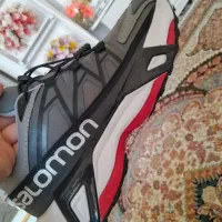 کفش نو|کیف، کفش، کمربند|سنندج, |دیوار