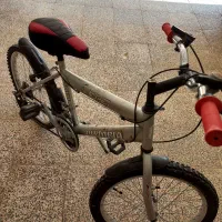دوچرخه دنده ای سایز20