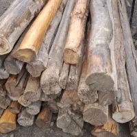 هرص و برش چوب در باقات شما عزیزان|خدمات باغبانی و درختکاری|اراک, |دیوار