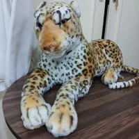 عروسک|اسباببازی|رشت, لاکانی|دیوار