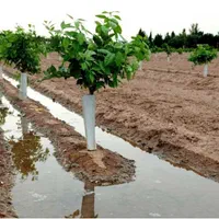 پخش آب فرودگاه پیام مهرشهر چهارباغ ملک آبادکمالشهر|خدمات حمل و نقل|کرج, فاز ۱ مهرشهر|دیوار