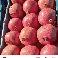 انار درجه یک کاشمر کیلو ۱۰۰تومان|خوردنی و آشامیدنی|نیشابور, شهید جعفری|دیوار