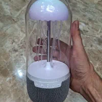 شب خواب