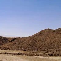 کود گاوی صنعتی مناسب کشت