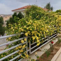 رهن و اجاره باغ ویلا اهل بیت صدرا