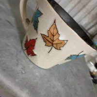 کاسه لیوانی