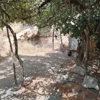 باغچه مفروز شش دانگ در محمودیه چمران|فروش زمین و ملک کلنگی|شیراز, محمودیه|دیوار