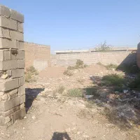 ۱۵قصب زمین نظم آباد