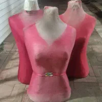 مانکن|فروشگاه و مغازه|رشت, چله خانه|دیوار