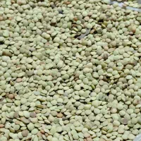 عدس|خوردنی و آشامیدنی|باشت, |دیوار