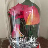 گل و گلدان مصنوعی|گل مصنوعی|مشهد, کلاهدوز|دیوار