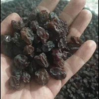 مویز درجه یـک و انجیر