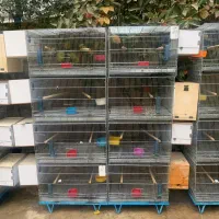 قفسه جفت خان تعداد 8جفت هر جفت 4 عدد