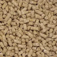 پیش دان ویژه اماده