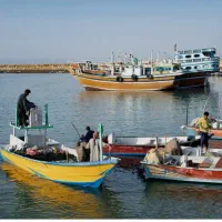 استخدام ناخدا