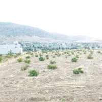فروش-باغ-درزرقان