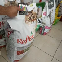 غذا گربه رفلکس