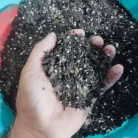 خاک  گل آپارتمانی