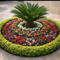 خدمات باغبانی در سراسر کرج