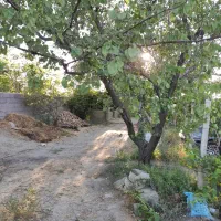 باغ انگور۱۵۰۰ متر جاده کلانتری آده بزرگ|فروش زمین و ملک کلنگی|نوشین شهر, |دیوار