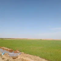 فروش-زمین-کشاورزی