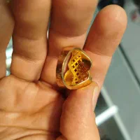سکه و طلا|جواهرات|گرگان, |دیوار