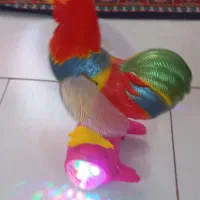 خروس موزیکال