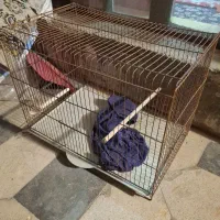 ۳تاقفس بزرگ|لوازم جانبی حیوانات|شیراز, کوشک میدان|دیوار