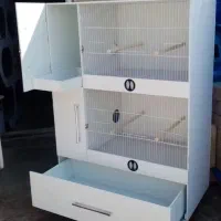 قفس اورپایی