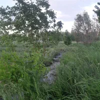 باغچه و باغ انگورایستاده.دارای درختان الوان.|فروش زمین و ملک کلنگی|نوشین شهر, |دیوار