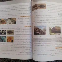 علوم نهم خیلی سبز (کتاب کار)|کتاب و مجله آموزشی|شیراز, شاپورجان|دیوار