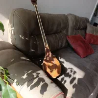 سه تار حرفه ای