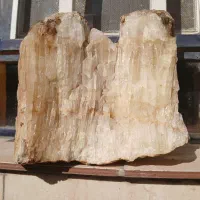 سنگ اکواریوم|ماهی|بروجرد, |دیوار