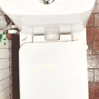 توالت فرنگی