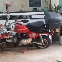 موتور مانکی کویر