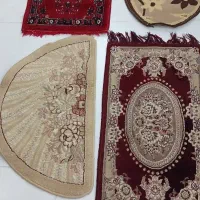 قالی کناری و پادری