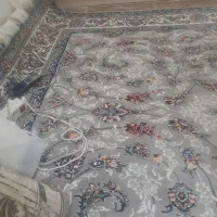 فرش پاتریس نو۱۰۰۰شانه ۳۰۰۰تراکم ۶متری|فرش|تهران, خواجه نظام الملک|دیوار