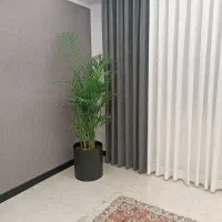 دو تخته فرش مشهد ۹ متری ۱۲۰۰شانه|فرش|تنکابن, |دیوار