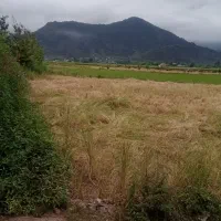 ۱۳۷۰متر با بنای ۱۸۰متری سند تک برگ گورابزرمیخ|فروش خانه و ویلا|گوراب زرمیخ, |دیوار