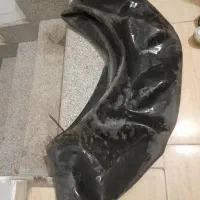 تیوپ بزرگ شنا