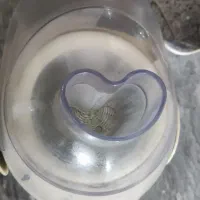 دستگاه آبمیوه گیری|آبمیوه‌گیر و آب‌مرکبات‌گیر|قم, ولیعصر|دیوار