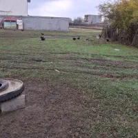 فروش-زمین-200متری-فقط-800میلیون