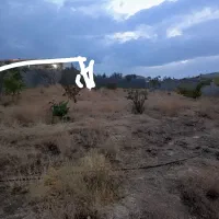 فروش-باغ-1000-متر-محصور-با-درختان-مثمر