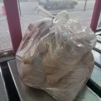 مرغ کشتار روز ،به قیمت روز عمده|خوردنی و آشامیدنی|کرمانشاه, |دیوار