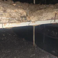 اجاره سوله قارچ با امکانات