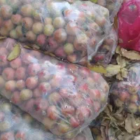 سیب درجه دو