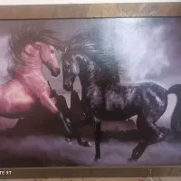 تابلو طرح اسب