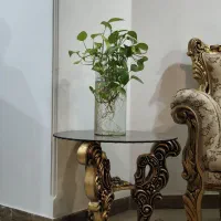وسایل منزل وشخصی|بوفه، ویترین، کنسول|شیراز, گلدشت معالی‌آباد|دیوار