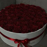 گل جاودان روبانی|گل مصنوعی|رشت, گلسار|دیوار